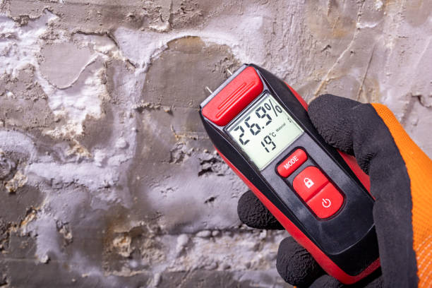 Best Post-Flood Mold Remediation in Dasher, GA