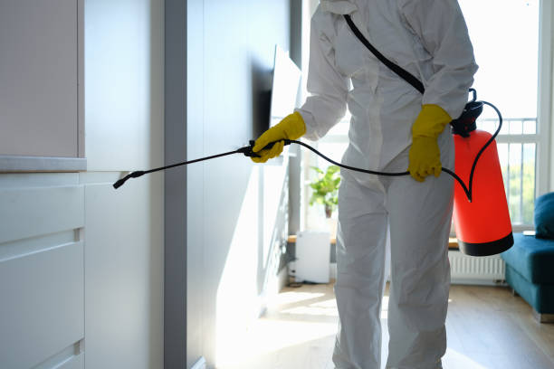 Best Residential Mold Remediation in Dasher, GA