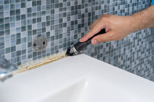 Best Basement Mold Remediation in Dasher, GA