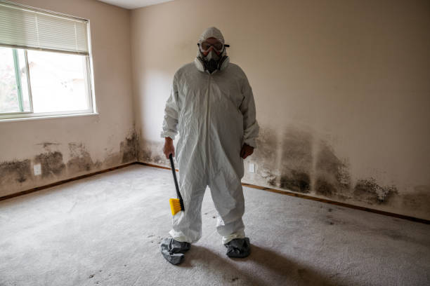 Best Bathroom Mold Remediation in Dasher, GA